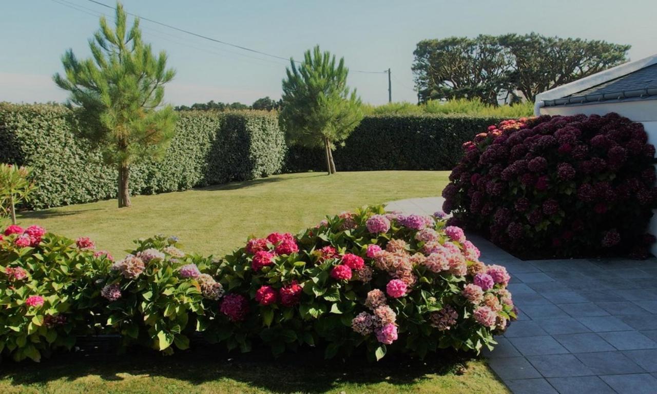 Maison Accueillante A Bangor Avec Jardin Clos Et Cheminee المظهر الخارجي الصورة